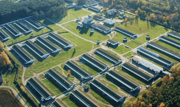 Military & High-Security Facilities